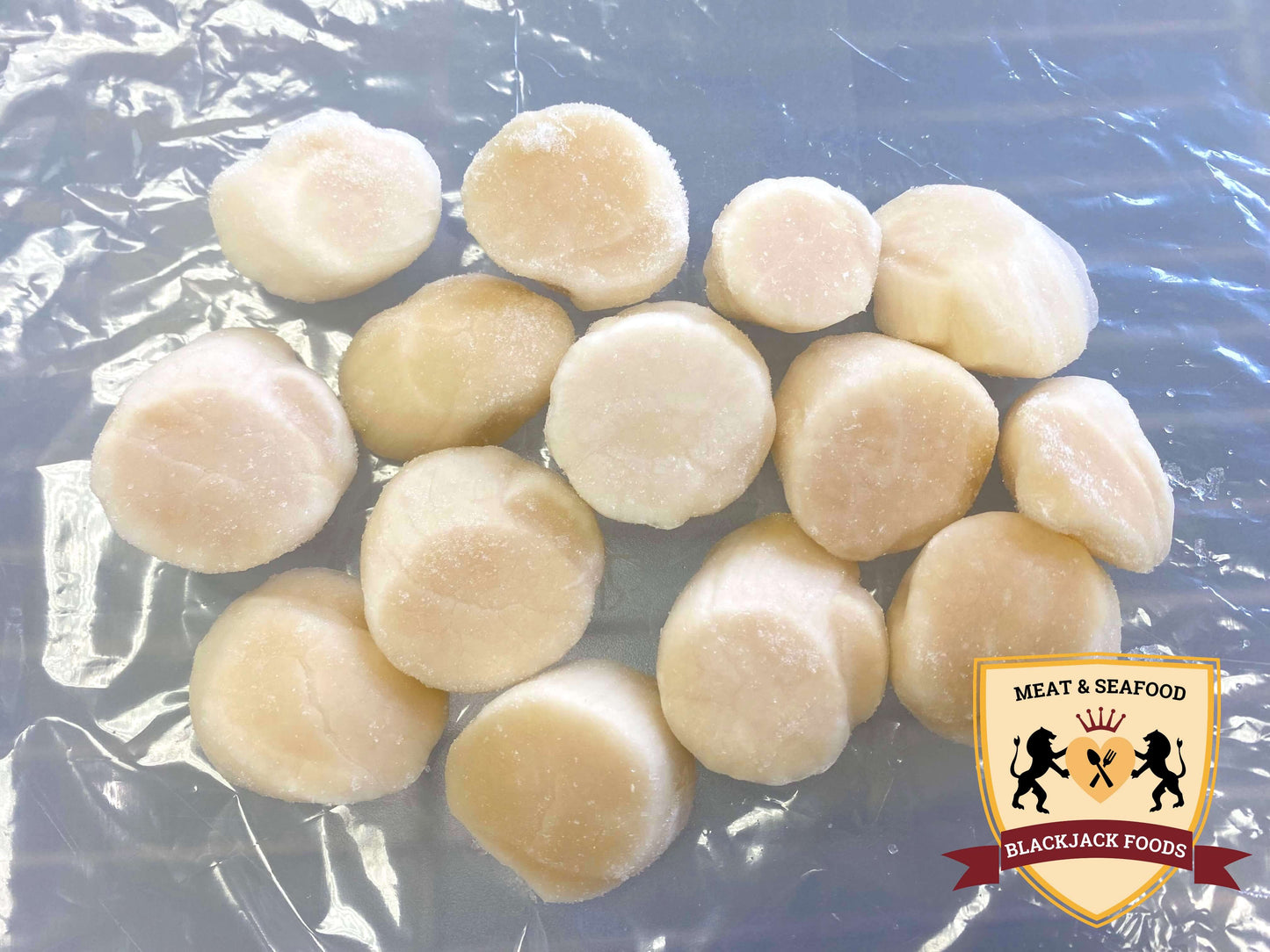 JAPANESE SCALLOPS