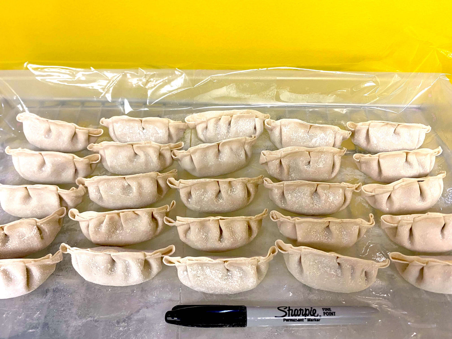 Gyoza Dumpling